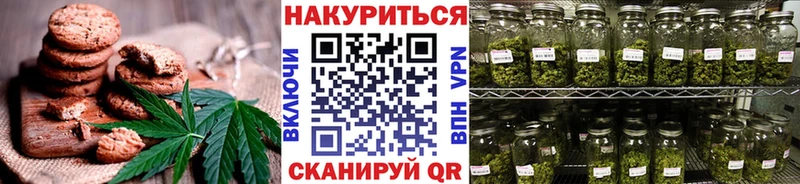 где найти Сольцы Cannafood конопля